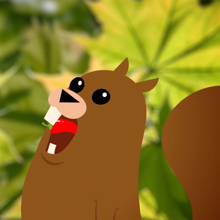 CATTI三笔备考经验贴