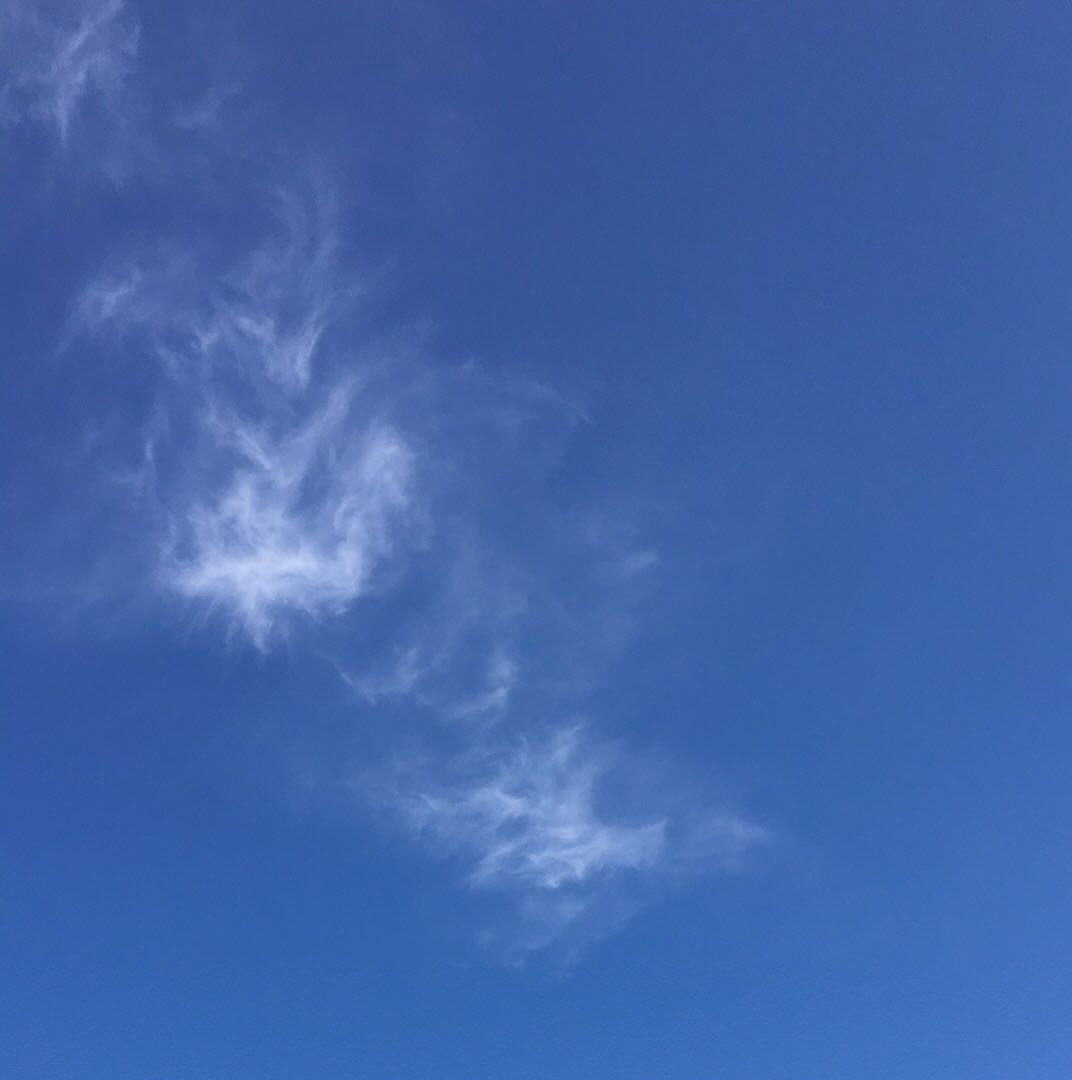 搜索《暗淡蓝点》,可以看到旅行者一号拍摄的照片:最后一次回望的家园