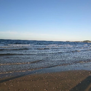 大海很大对吗