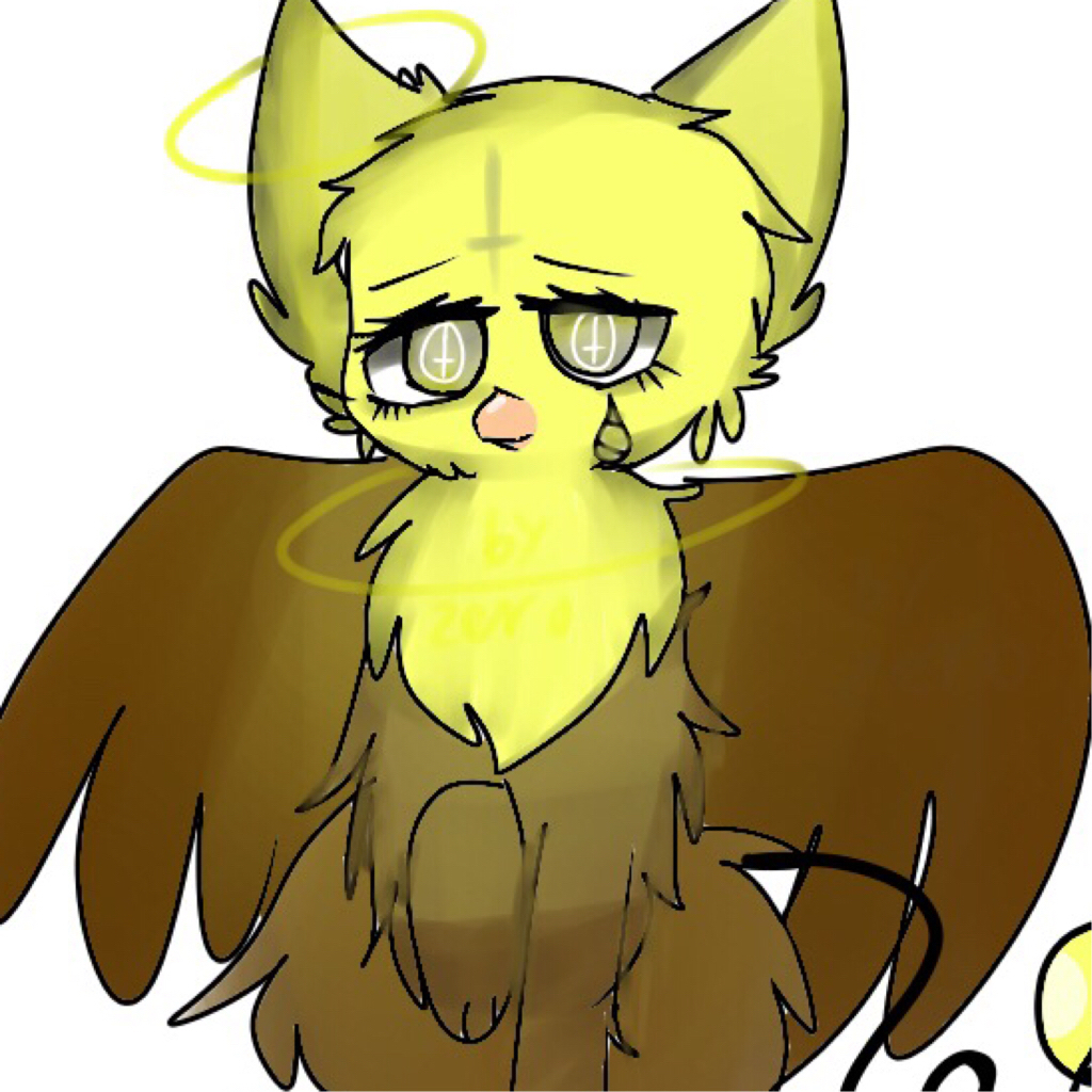 沃里克worik小天使