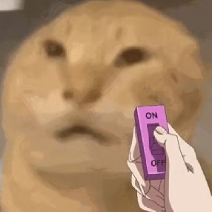 LCD捡漏王