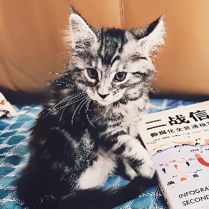 晴晴玩积木