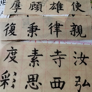起早每一天