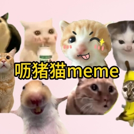 呖猪猫meme