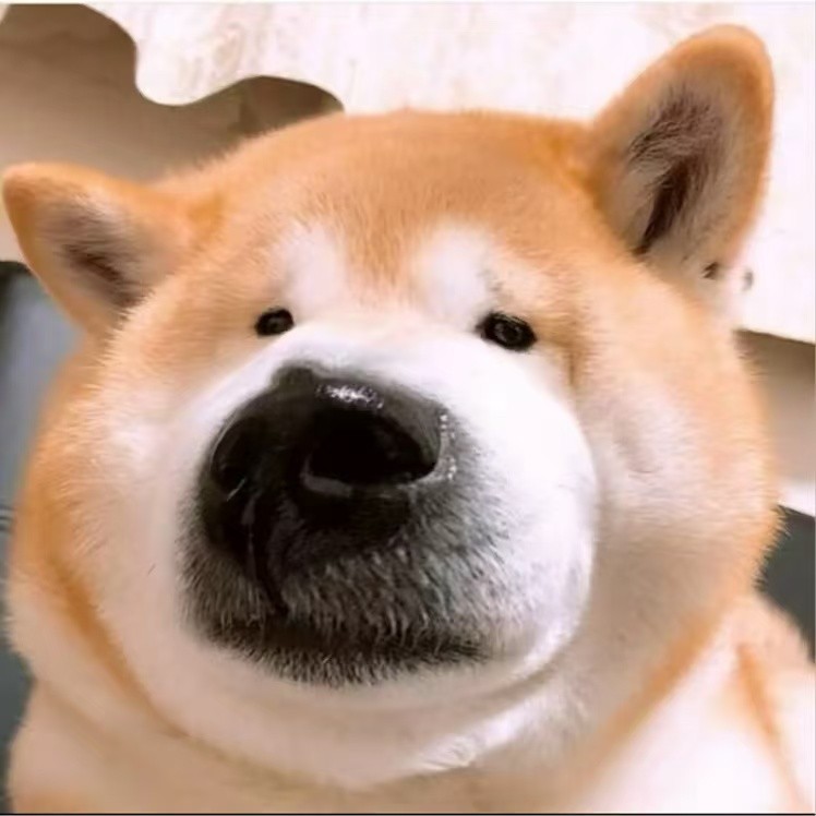 老实人狗子李信