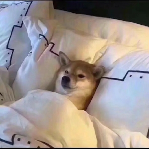 一片落葉_