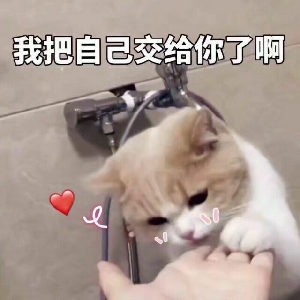 HM完成
