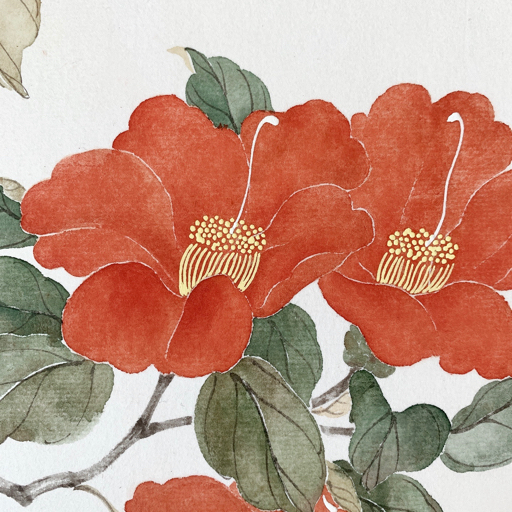 芙蓉花的没骨画法