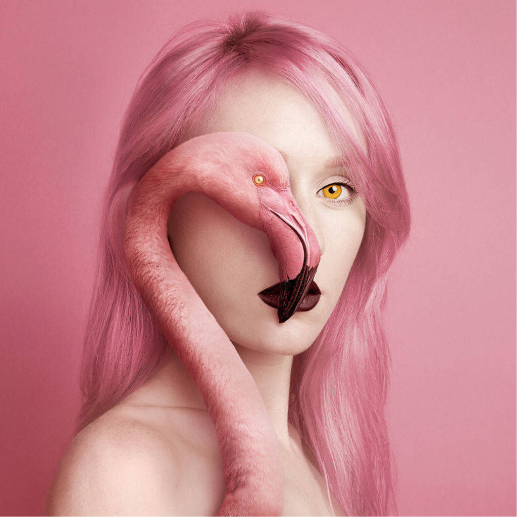 一只特立独行的mollie