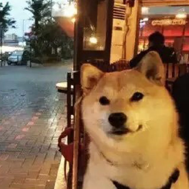 丛林法则(手机吃鸡)夕阳红枪法 - 爱奇迹言传说