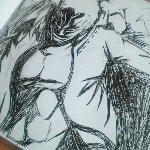 赤犬大招 帅 海贼王 燃烧意志