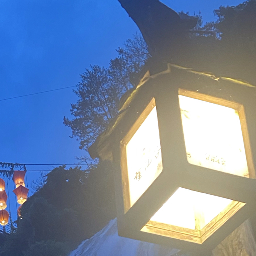 理想和佳音
