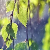 温暖的雨-