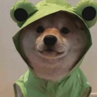 群主TV