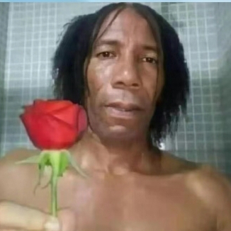 母猪的产后护理UP