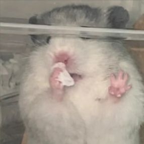 ⚠