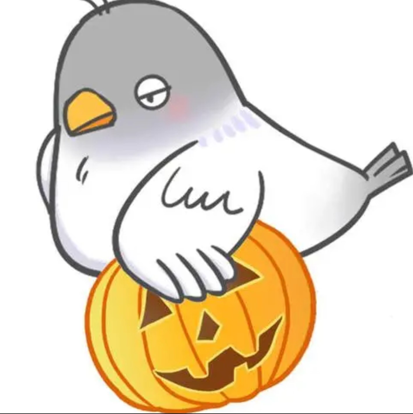 鸽子游戏