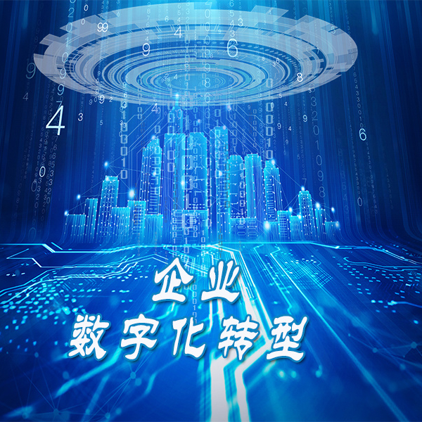 数字化实战派