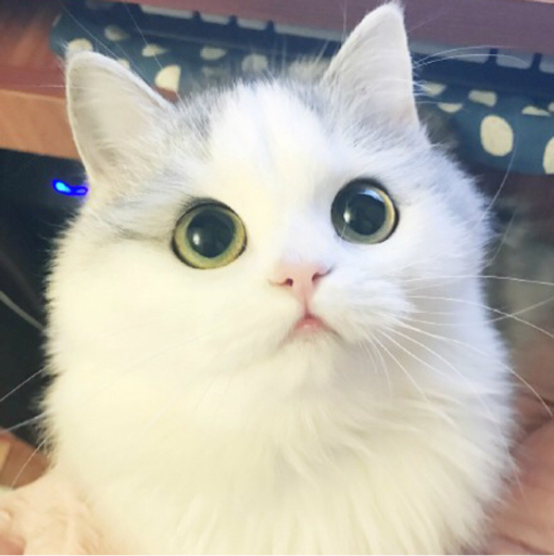 拉字至上群戏cuts01ep03所有群戏