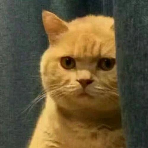 ⚠