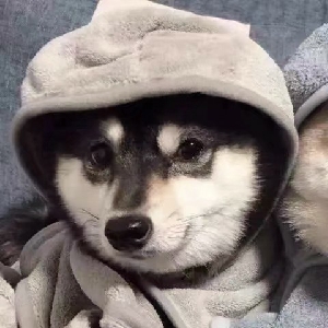 ⚠