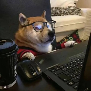 犬次郎二狗
