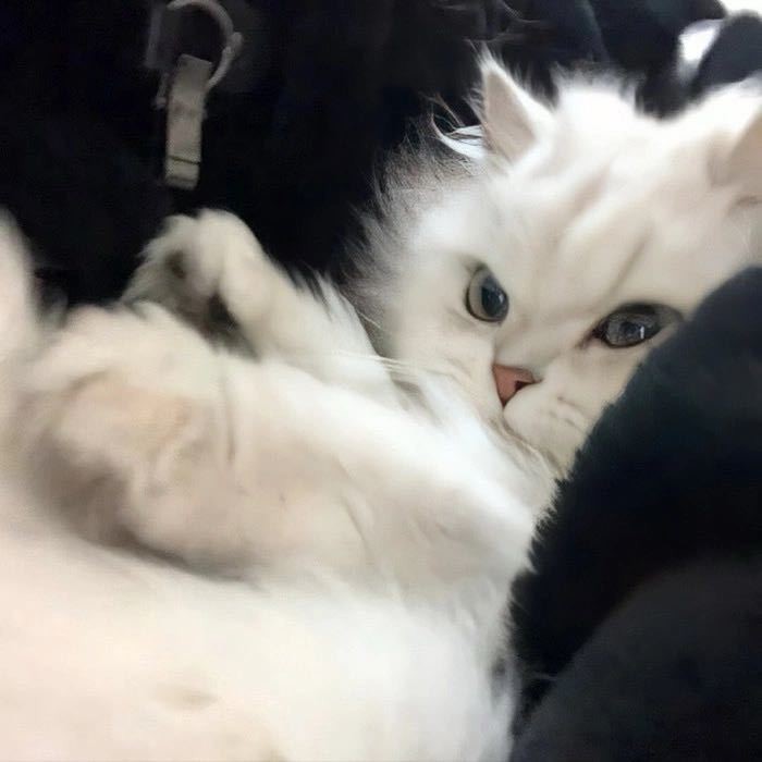 糯糯的百宝箱