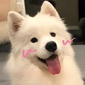 耶块来啦