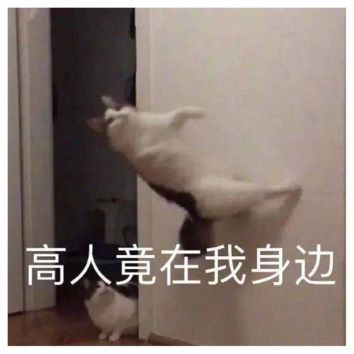 田昊然