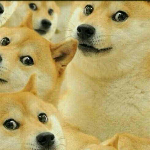 精神污染doge酱的个人空间 - 哔哩哔哩 ( ゜- ゜)つロ 乾杯~ bilibili