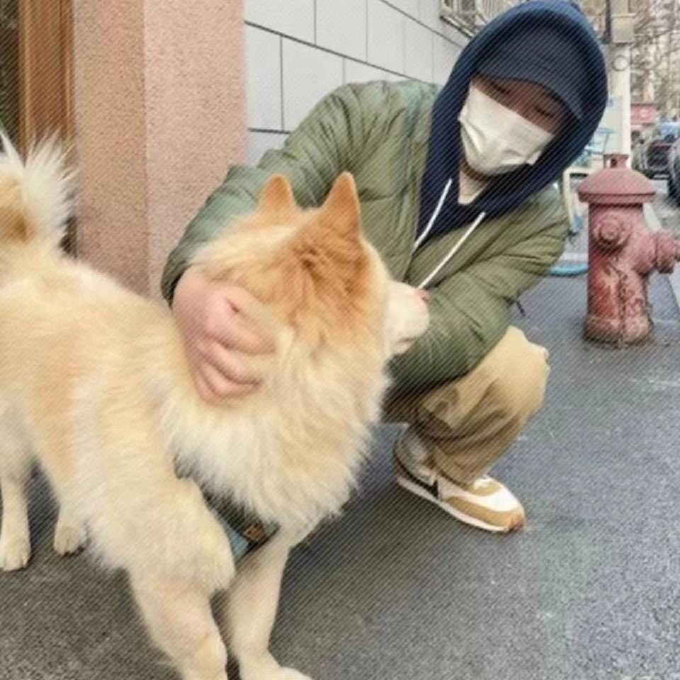 小磊说前端
