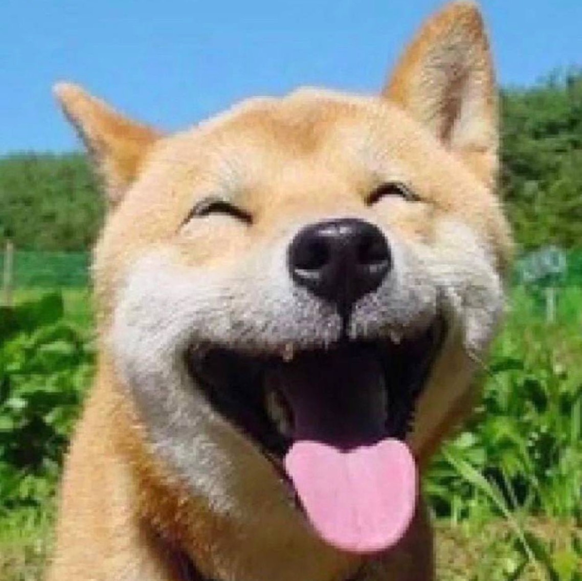 nmxiaowei