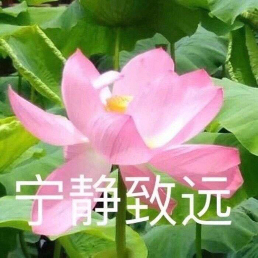 牛哔哩,一个只有评论的网站