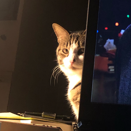 寅子李宣美的再次相会娜娜的再次查岗