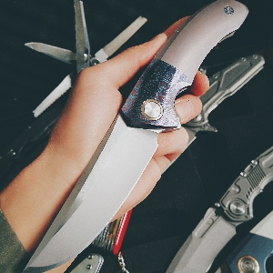 肥龙设山魈maxace狂徒巨人noc高达鸡翅dg04附威戈小板砖巴克110总有