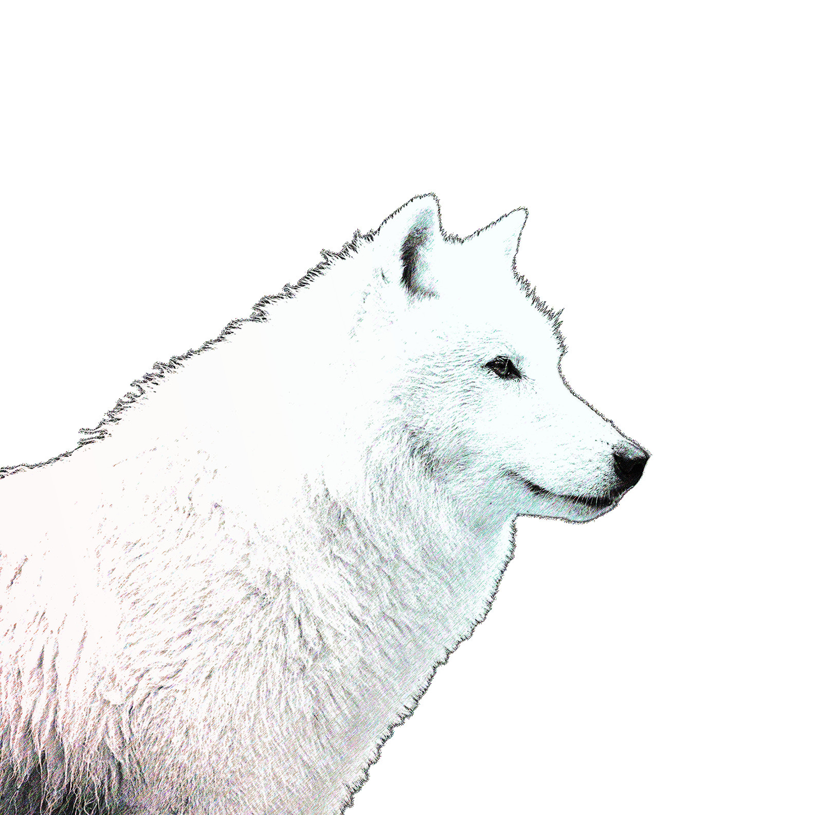 Moon_Shined