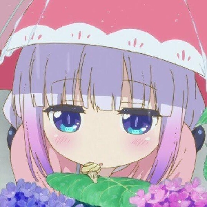 君莫曦曦