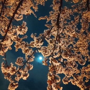 请叫我修仙祖师爷