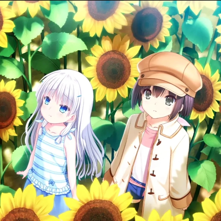 加藤七海的个人空间 哔哩哔哩 つロ乾杯 Bilibili