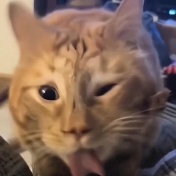 趴在窗台上发会呆