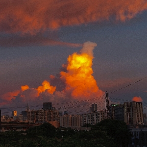 牛哔哩,一个只有评论的网站