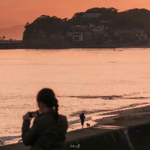 世林J