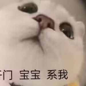 大脑侃电影's avatar