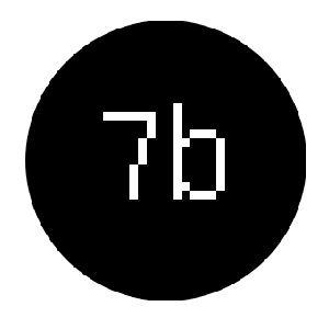 0x7b_SevenBytes