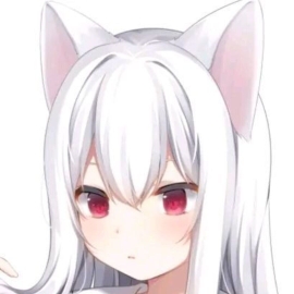 kaola科技