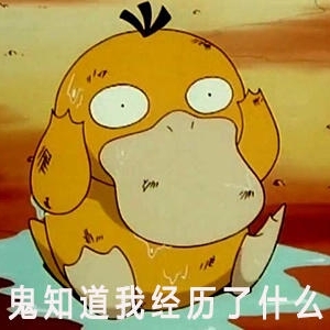 pyduck_代码讲解辅导