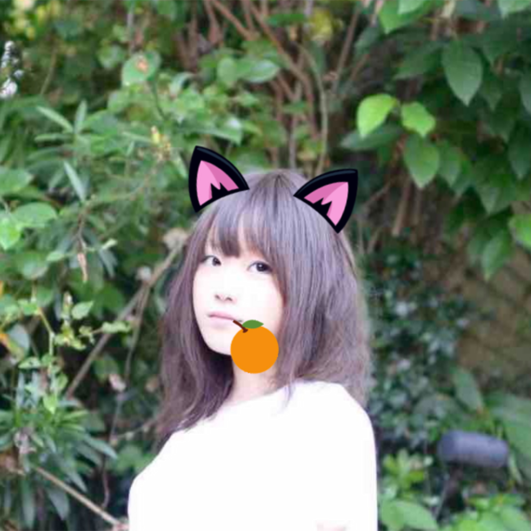 柚子猫ゆずねこ的个人空间-柚子猫ゆずねこ个人主页-哔哩哔哩视频