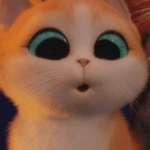 不幸話三度飯大好的个人空间 哔哩哔哩 つロ乾杯 Bilibili