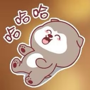 程序员武哥