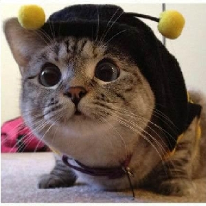 SCP基金会究竟是什么神秘组织-来自一个D级